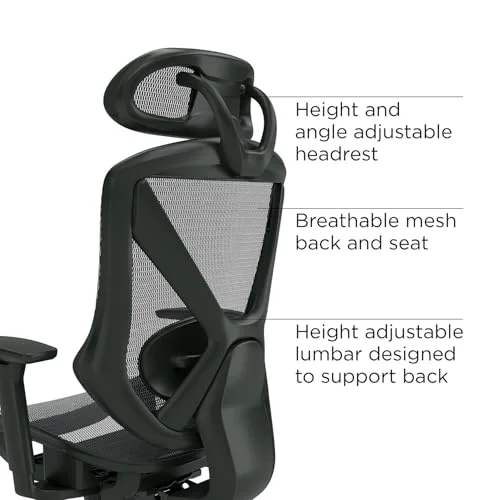 Staples Dexley Vs Hyken Ergonomic Office Chair