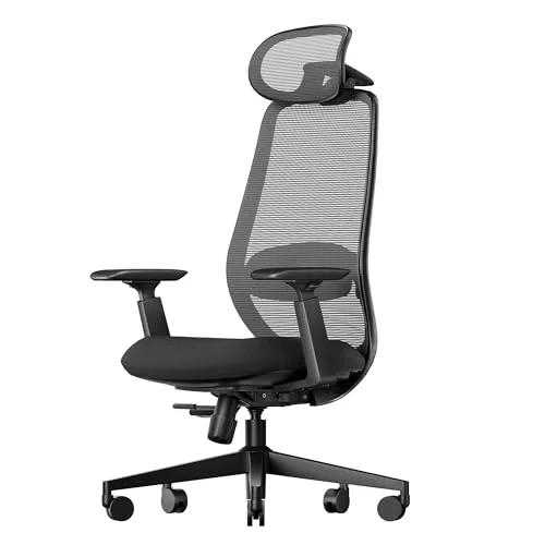 ProtoArc Ergonomic Office Chair EC200