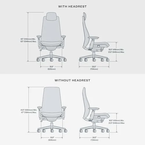 Haworth Fern Vs Embody Ergonomic Chair